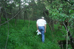 Morel Mushroom Hunting